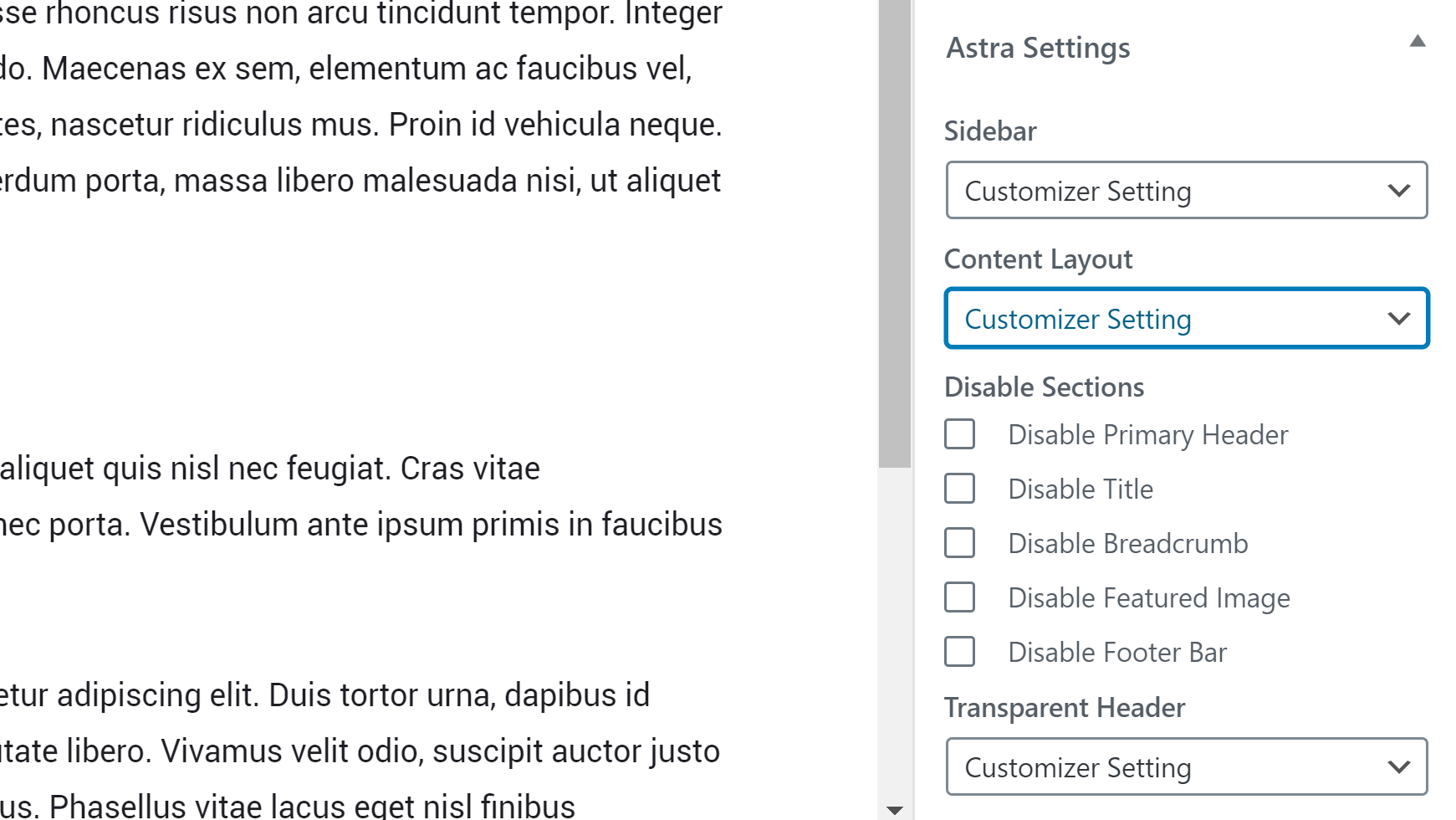 Astra Post & Page Settings