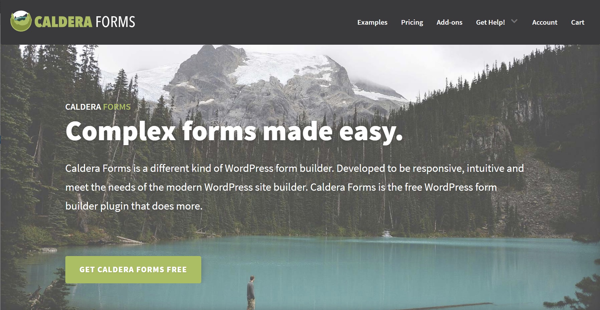 Caldera Forms homepage