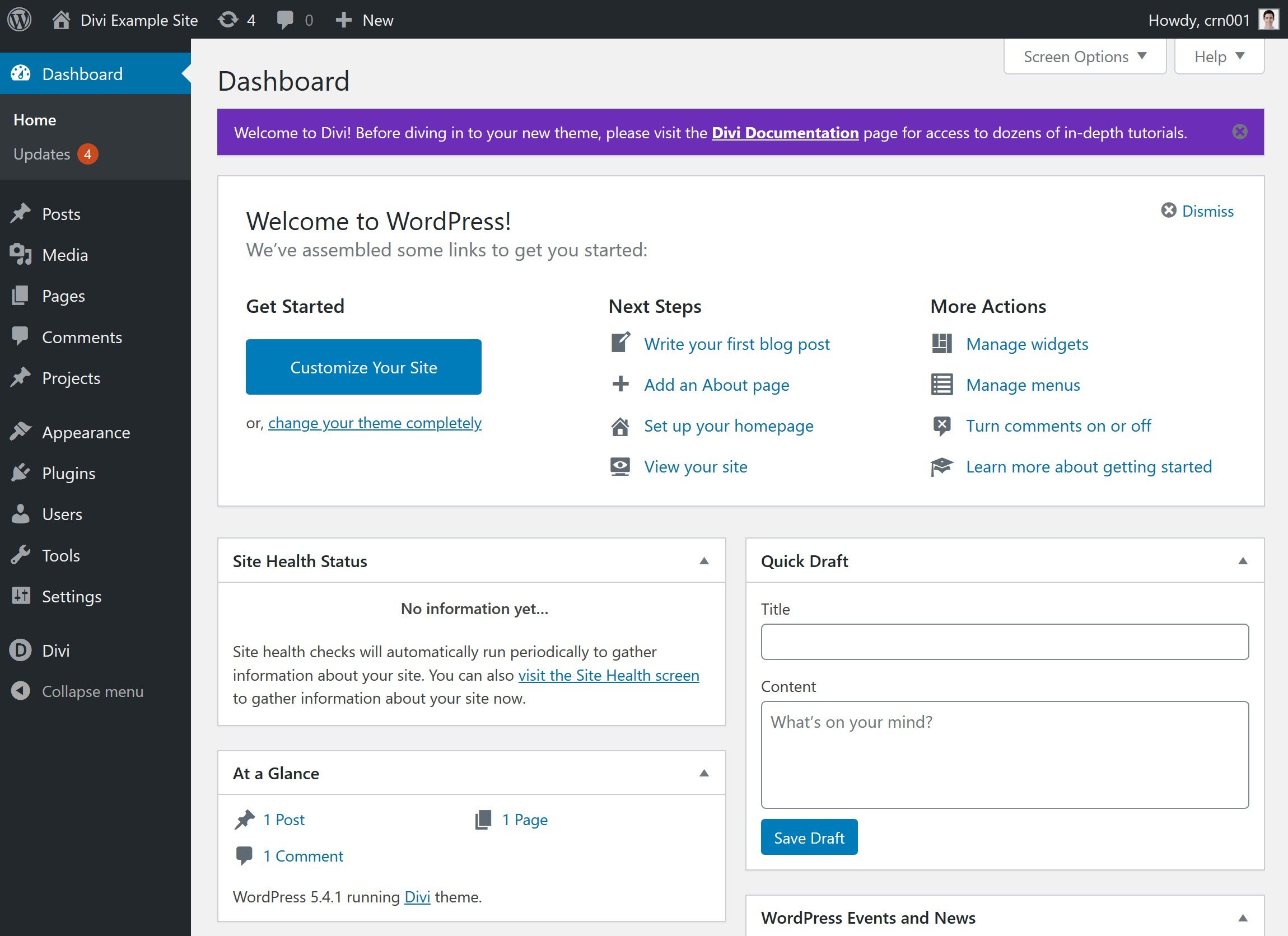 Flywheel pre-installs and activates the Divi theme for you