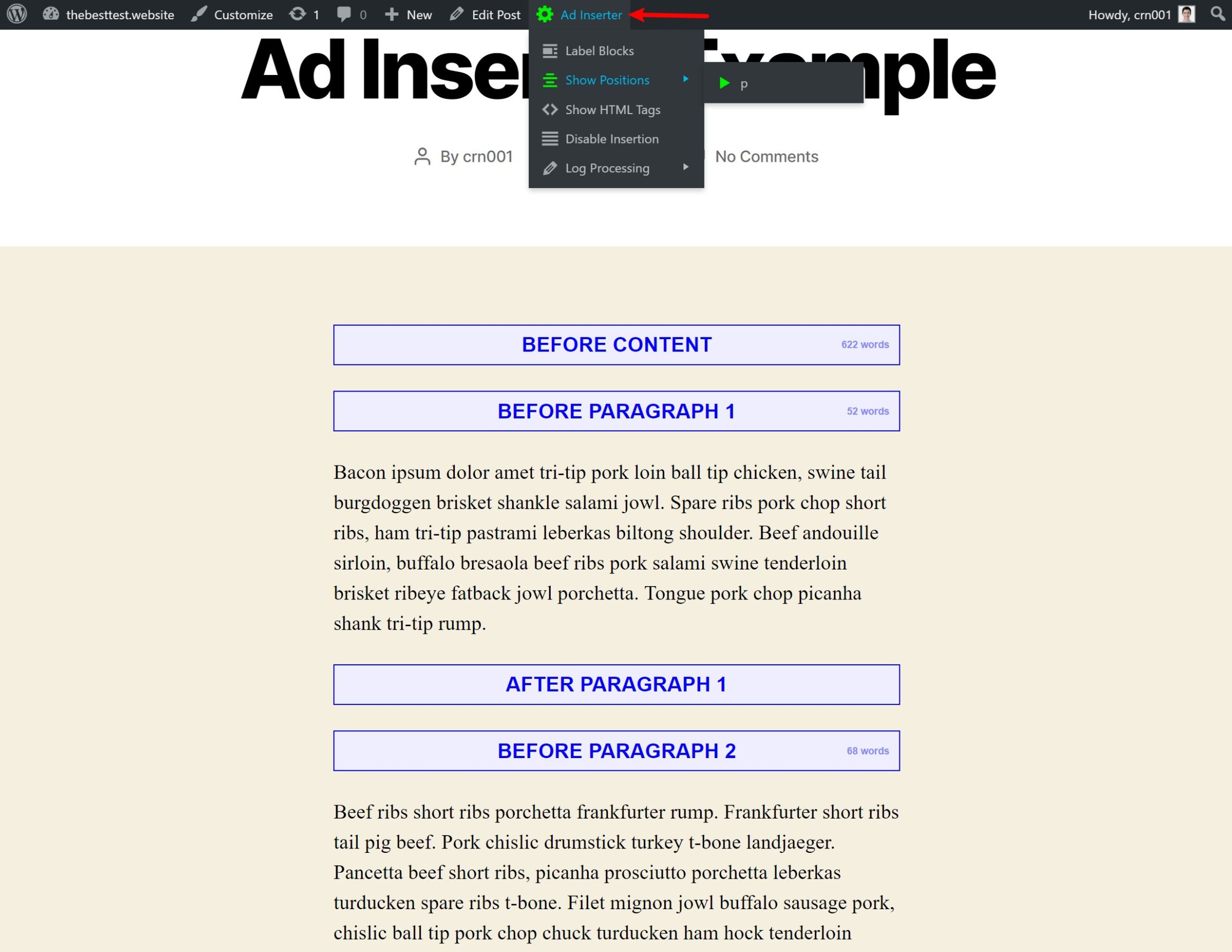 How to visualize Ad Inserter placements in your content