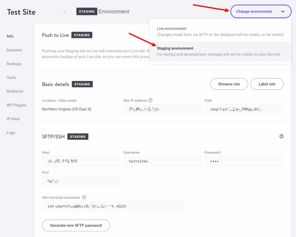 The Kinsta staging tool