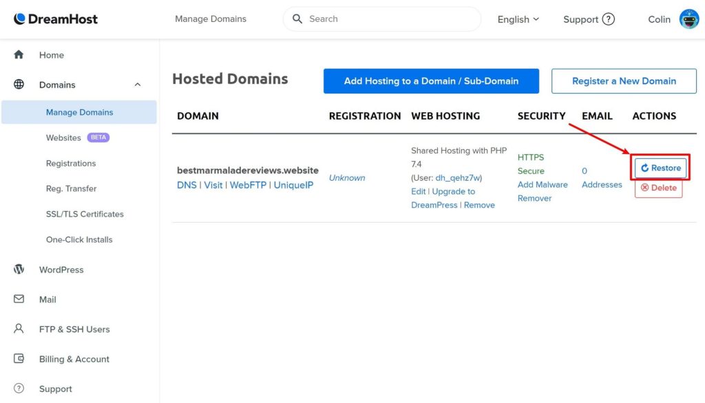 DreamHost's backup feature