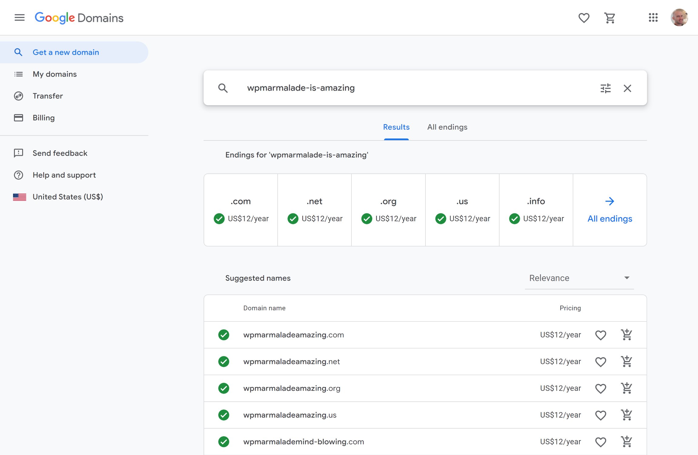 hostbuddy google domains