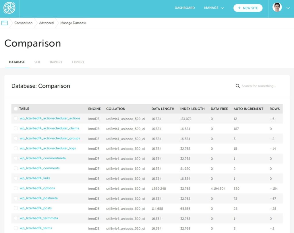 Flywheel's custom database management tool