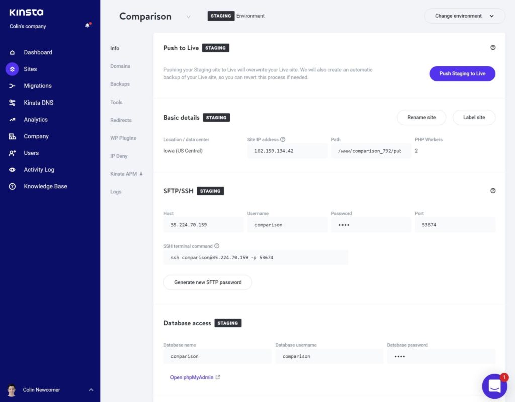 The Kinsta staging tool